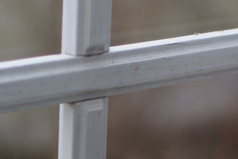 DSC 0851 crop