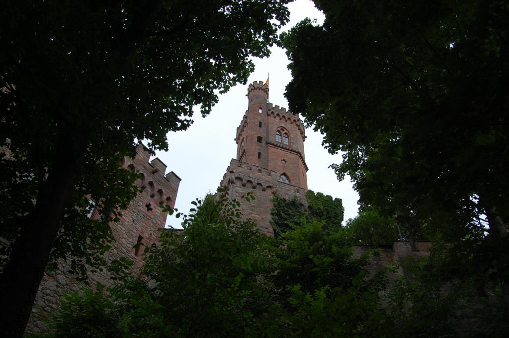 DSC 0874