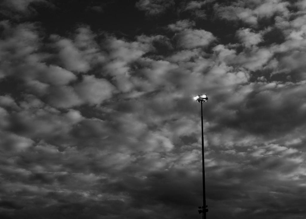 DSC 0877 bw