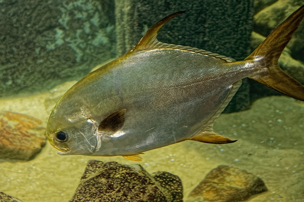 DSC 0883k