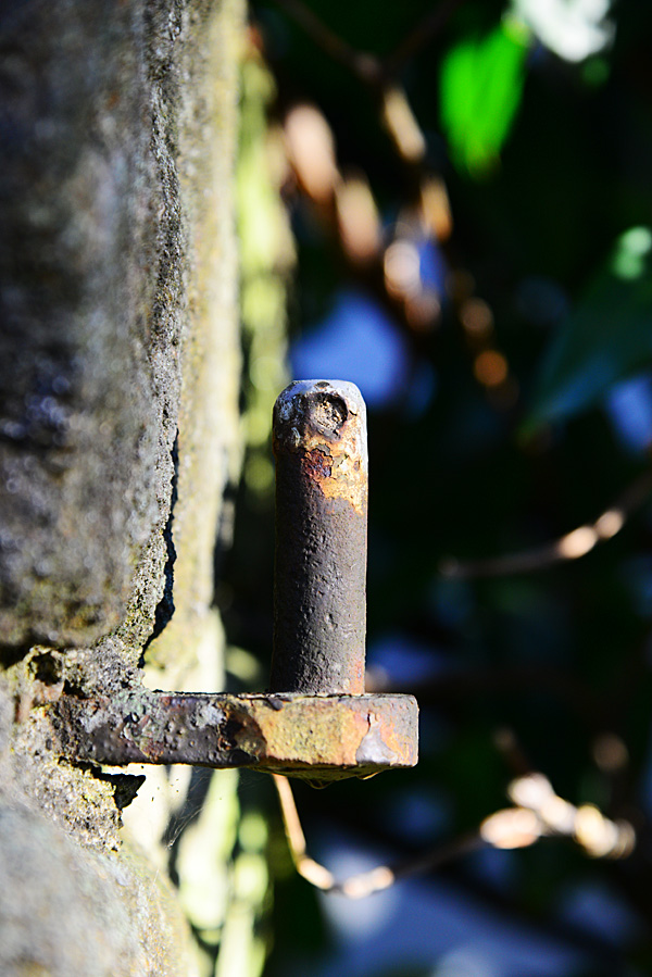 DSC 0895fks70