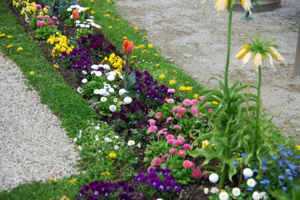 DSC 0900074815690007