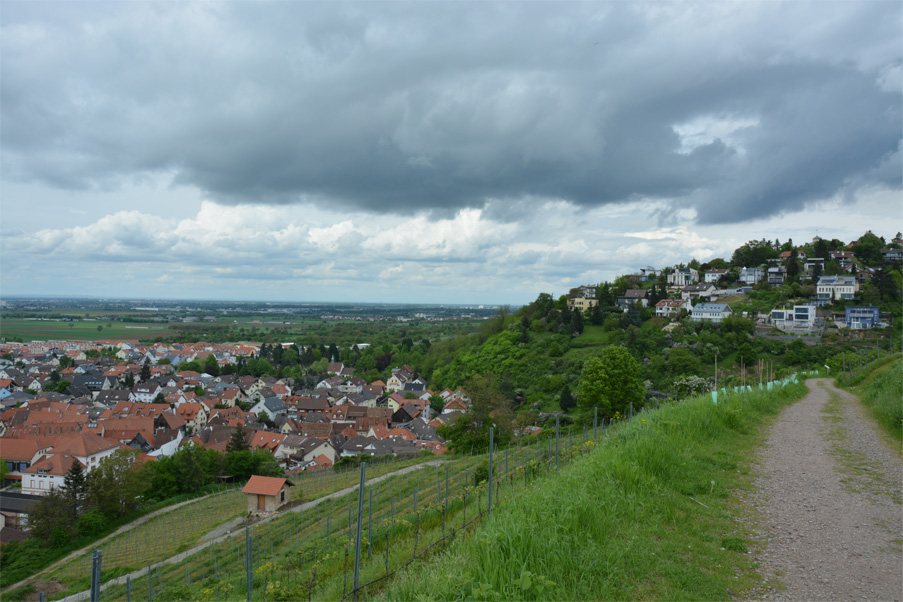 DSC 0903 bearbeitet 1