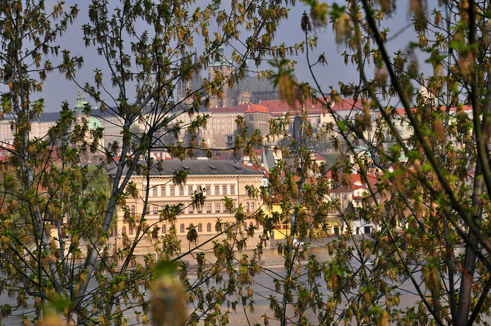DSC 0907 Durchblick