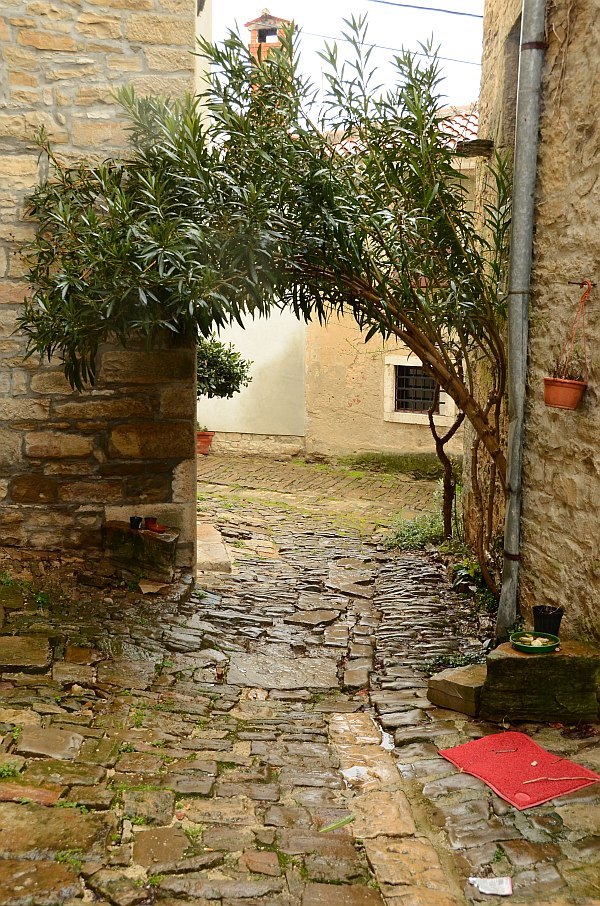 DSC 0916
