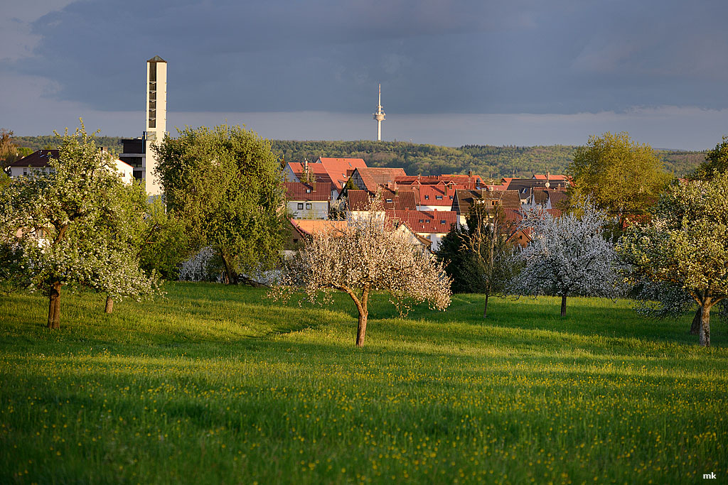 DSC 0928k