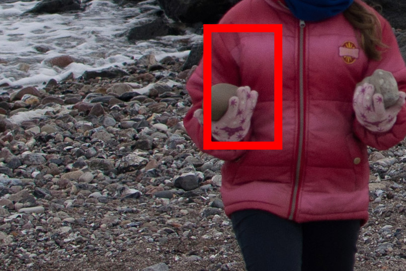 DSC 0962 crop