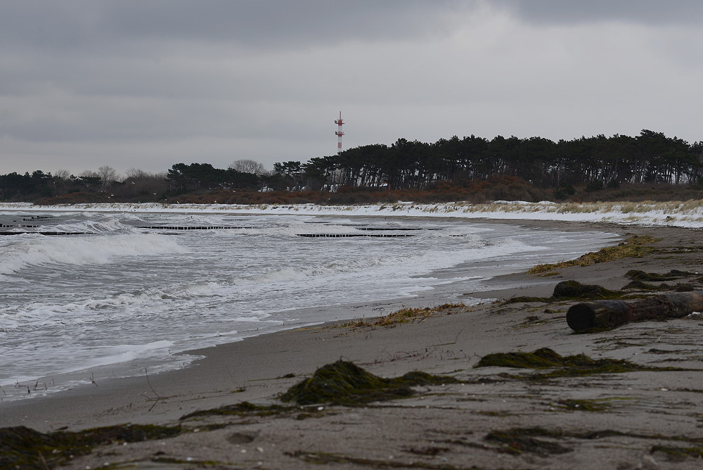 DSC 0970 11 12 12