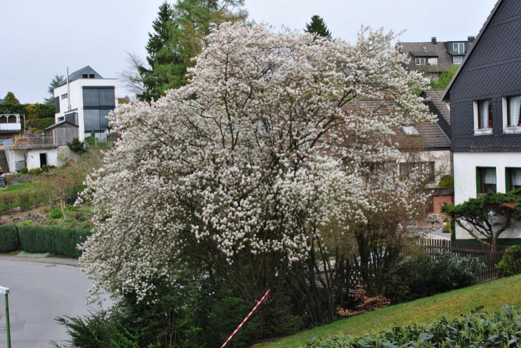 DSC 0985 1024