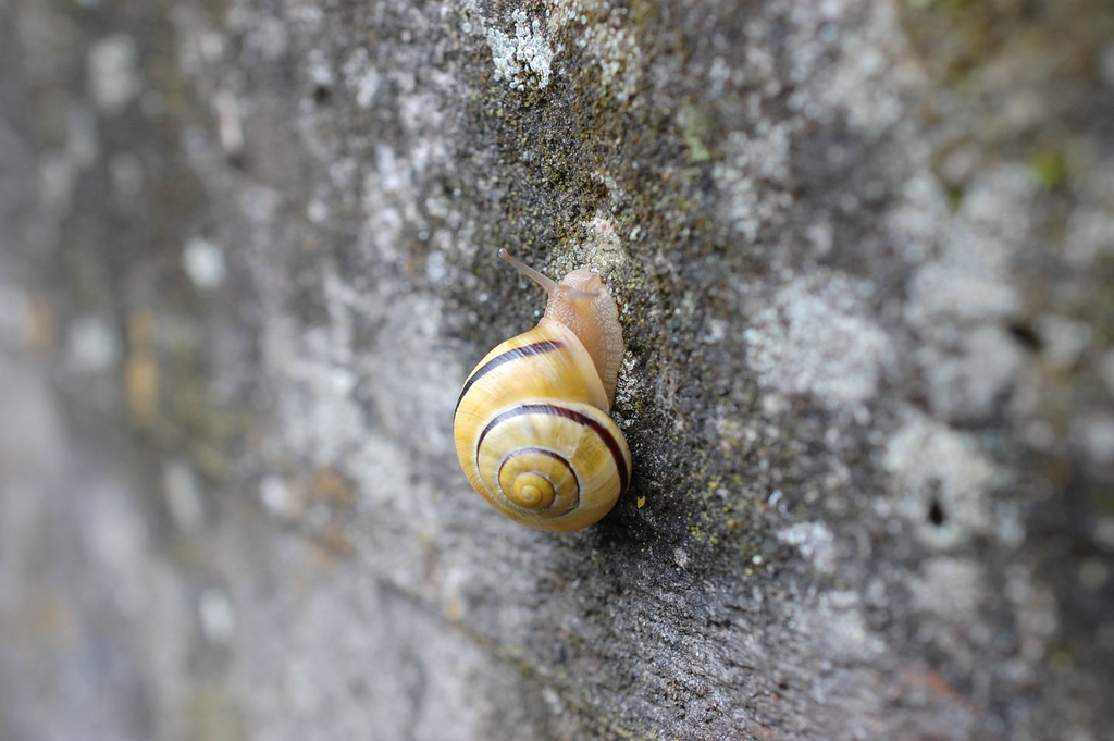 DSC 0988 mic40 k

Kamera-Modell: NIKON D40
Brennweite: 40.0mm (KB-Format entsprechend: 60mm)
Blende: f/5.6
Belichtungszeit: 0.033s (1/30)
ISO: 360