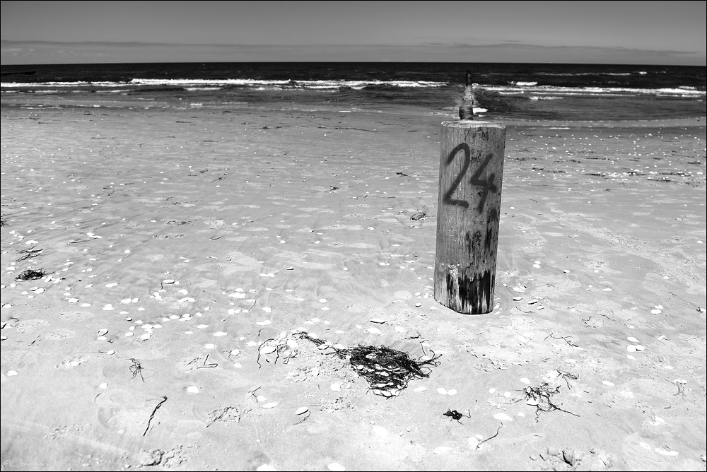 DSC 10106   Zingst