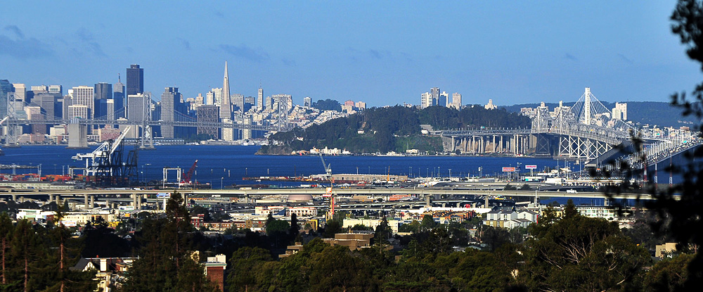 DSC 10151 SFO 1000