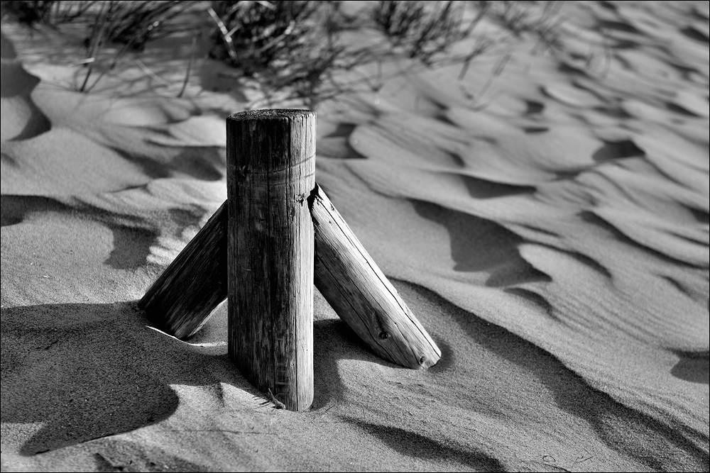 DSC 10303   Zingst