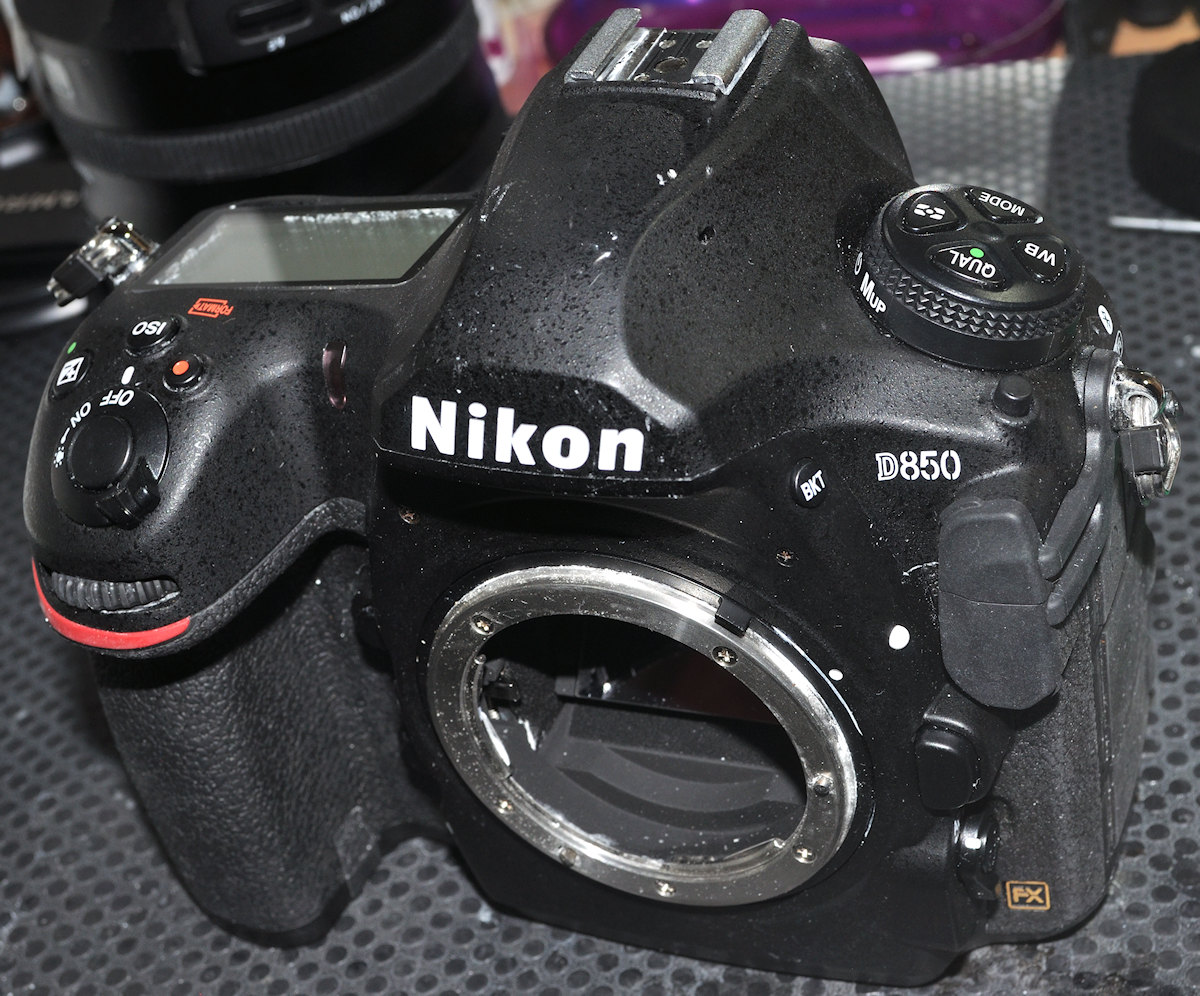 DSC 10330