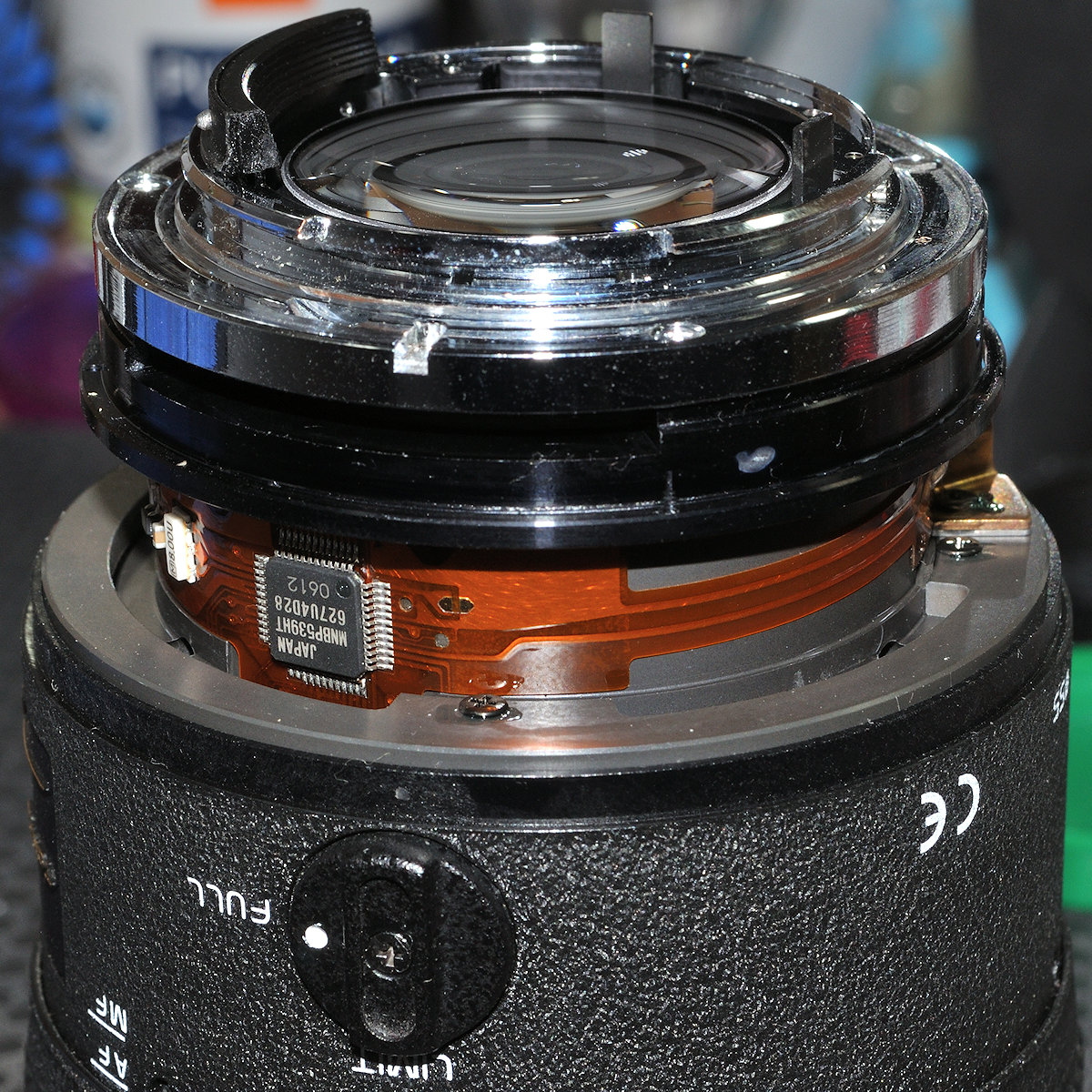 DSC 10407