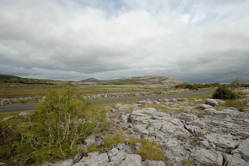 DSC 1048a