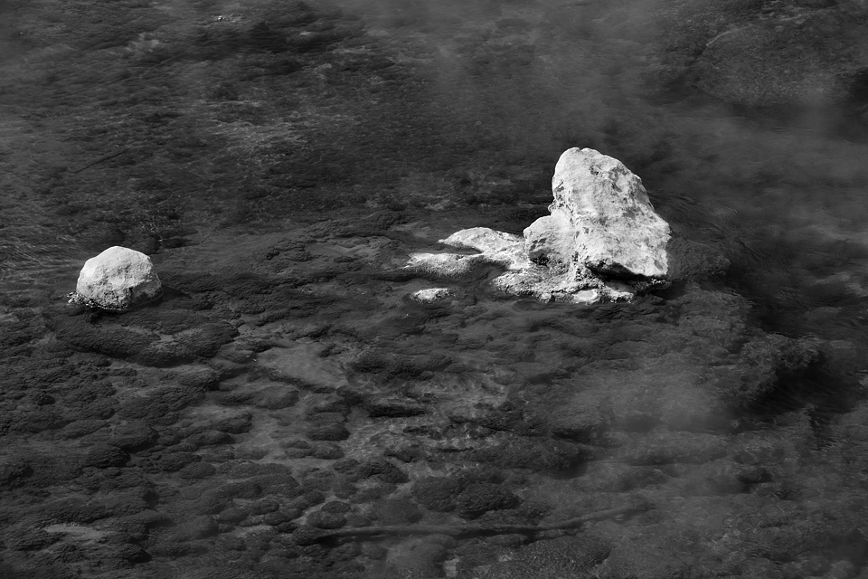 DSC 1052 sw NF-F
Artists Paintpots