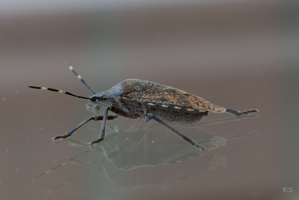 DSC 1053