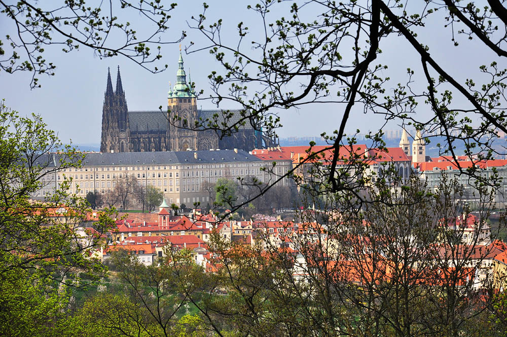 DSC 1063 Burg mit Veitsdom