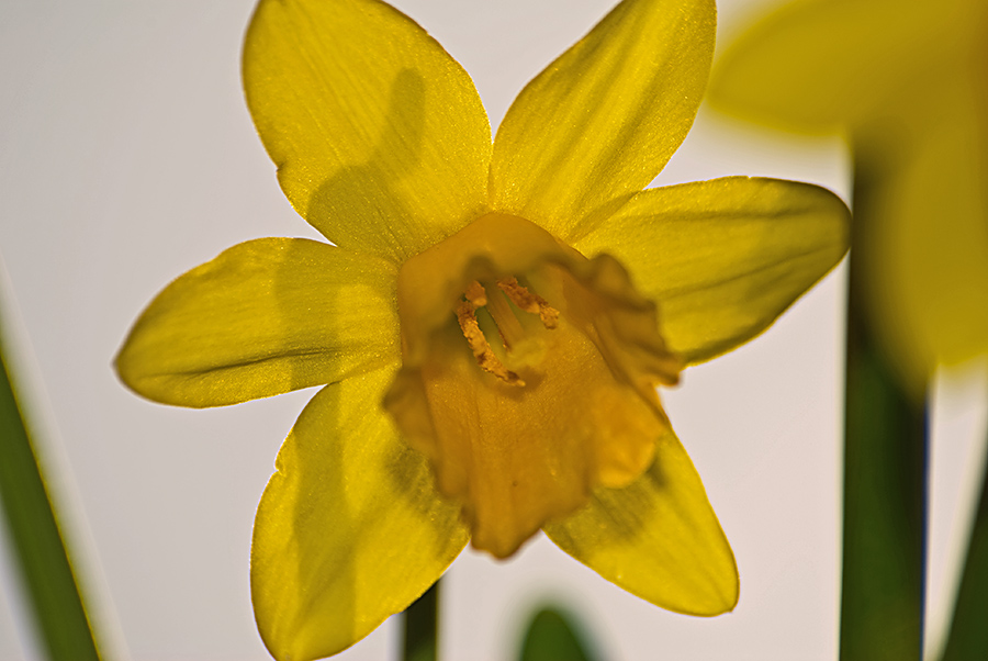 DSC 1071aa