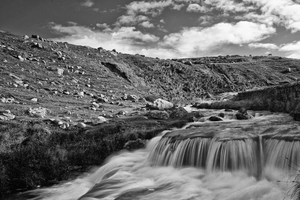 DSC 1076 copy edited 5