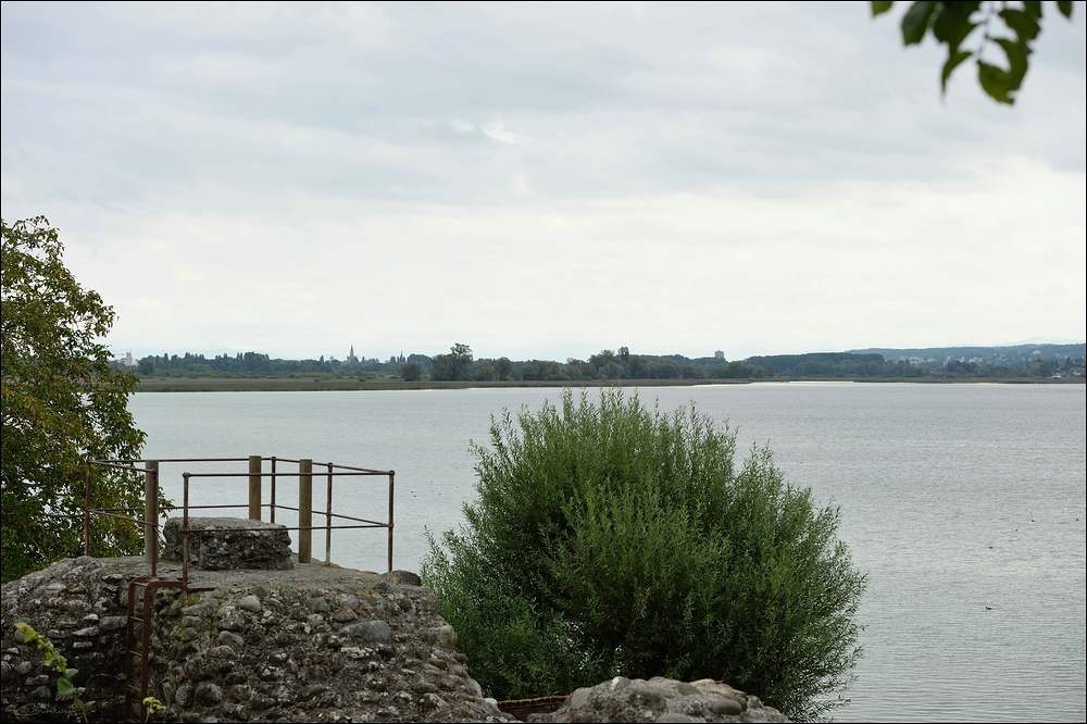 DSC 10965