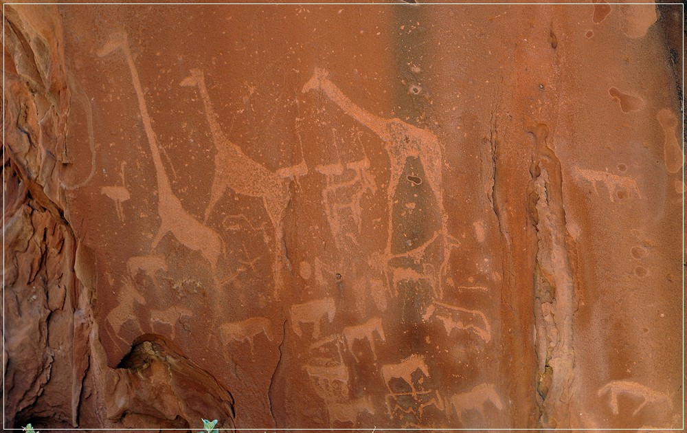 DSC 1101