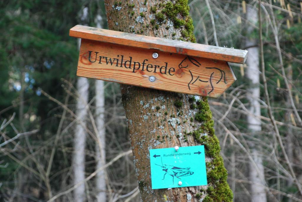 DSC 1107 Bildgröße ändern
