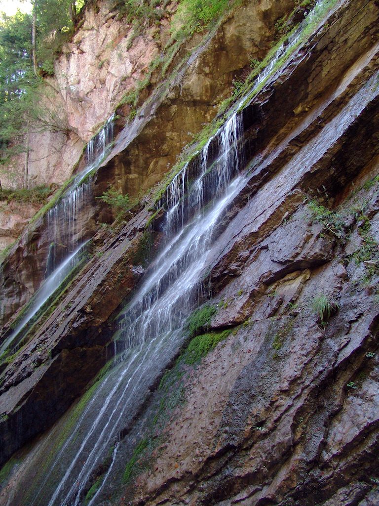DSC 1108