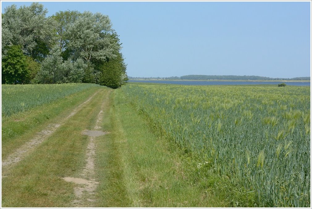 DSC 1110