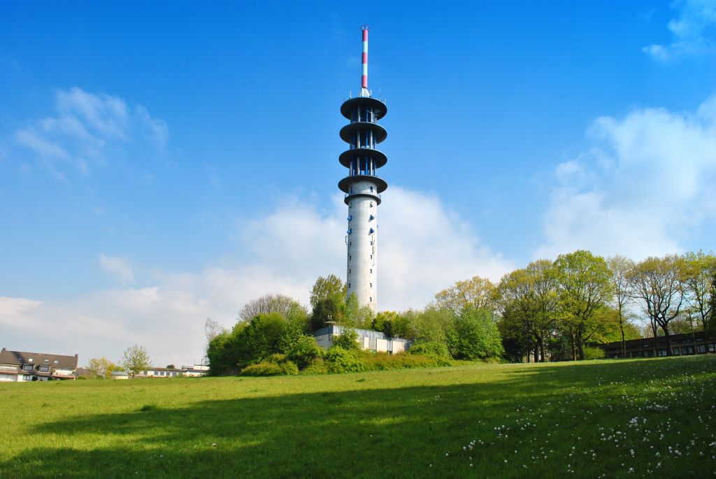 DSC 1140 1024