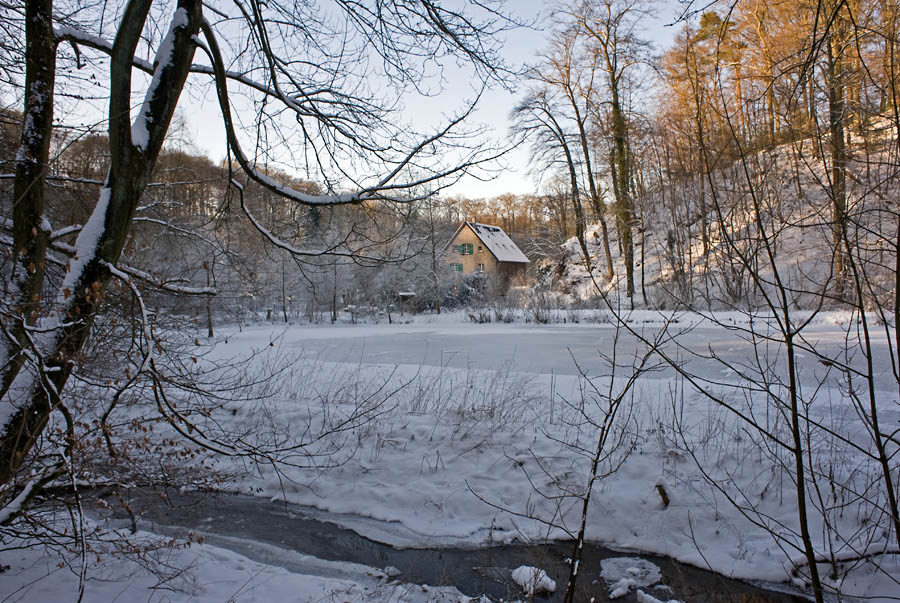 DSC 1156 900