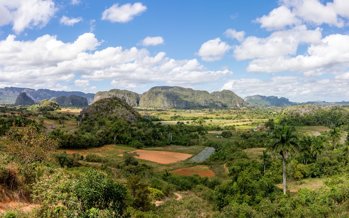 DSC 1160 Pano