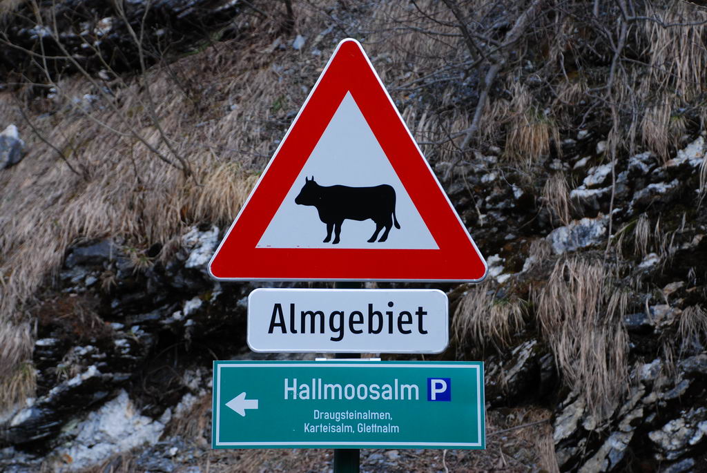 DSC 1230 Bildgröße ändern