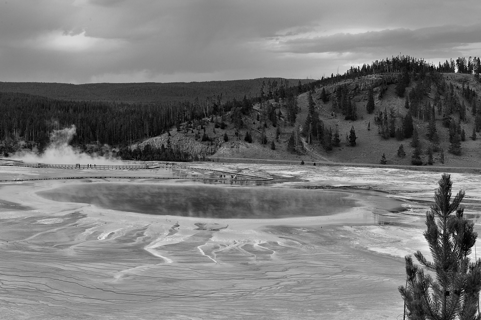 DSC 1231 sw NF-F
Midway Geyser Basin, Grand Prismatic Spring