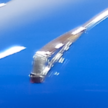 DSC 1236c