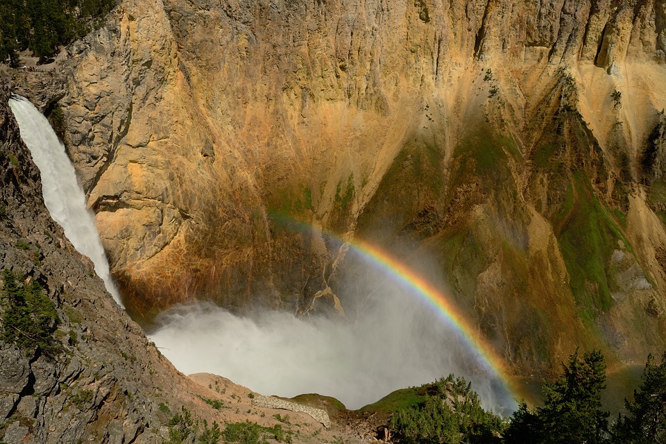 DSC 1237 NF-F
Yellowstone, Grand Canyon of the Yellowstone, Lower Falls