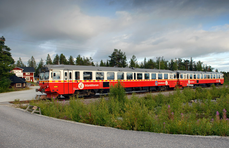 DSC 1244neu900