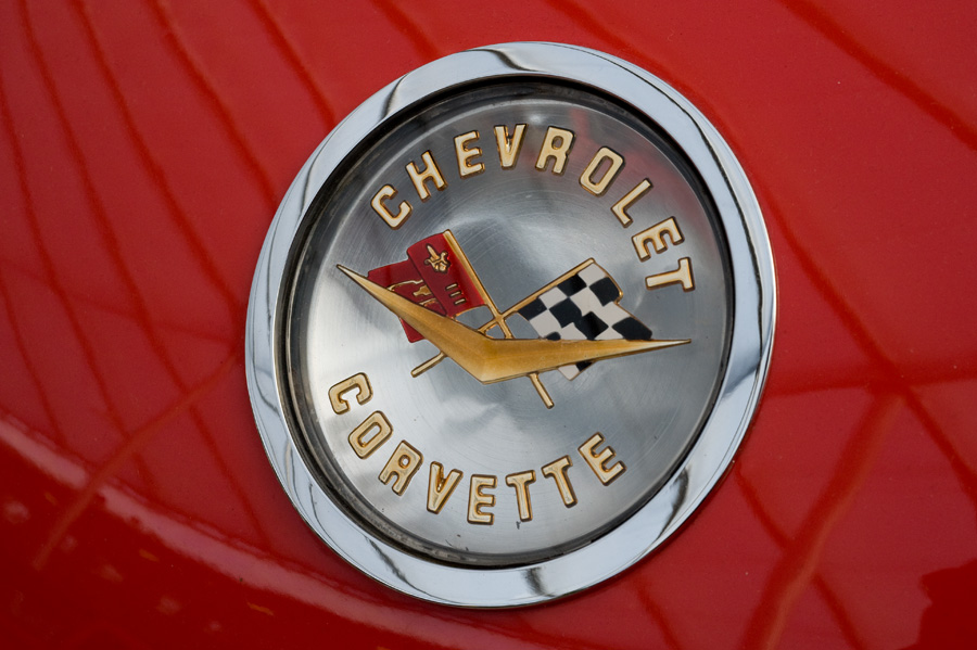 DSC 1257 900