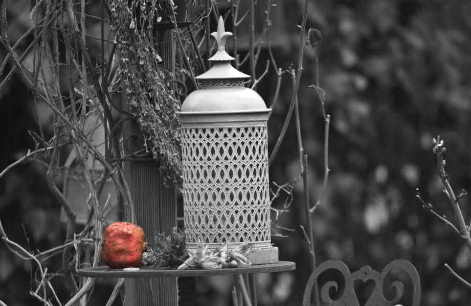 DSC 1259 (FILEminimizer)