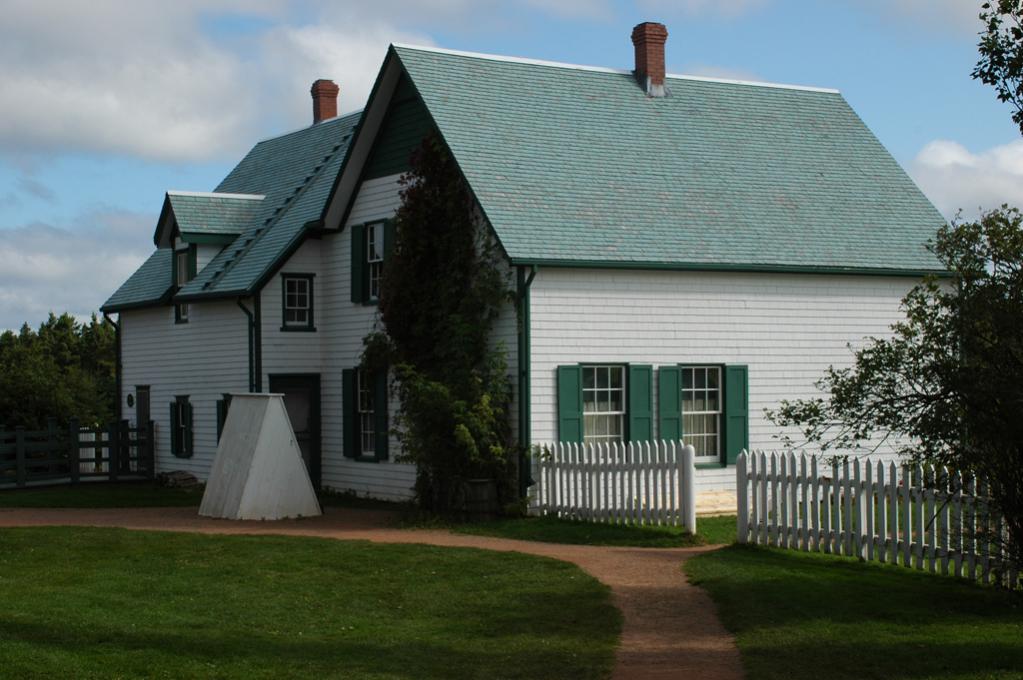 DSC 1263