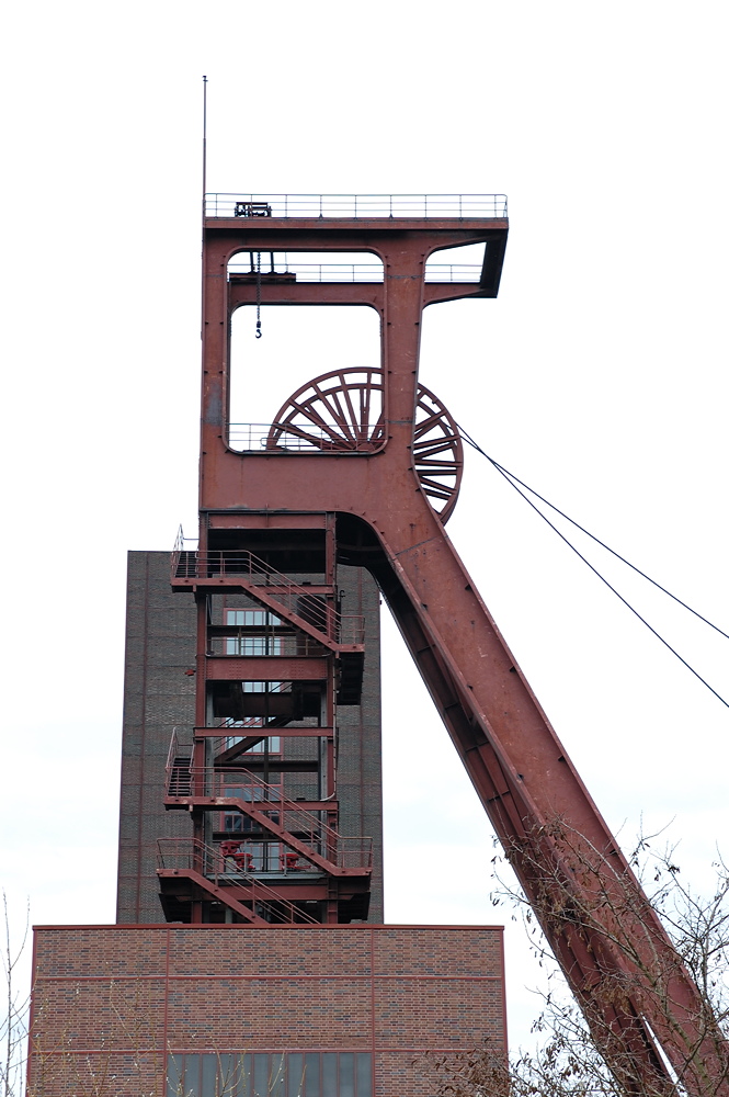 DSC 1266