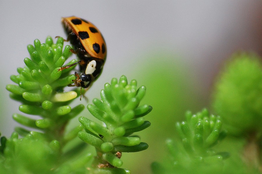 DSC 1280