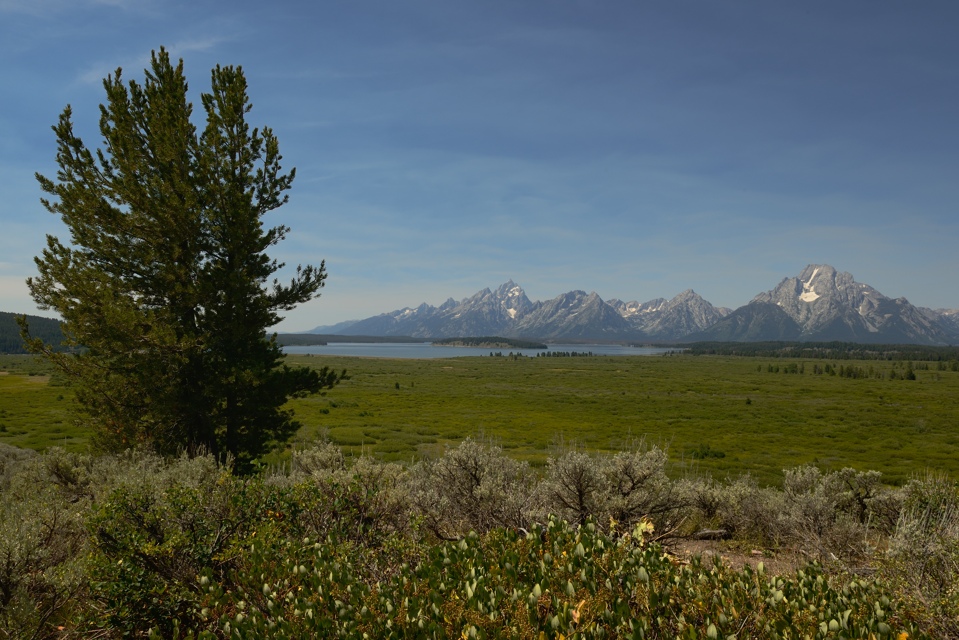 DSC 1293 NF-F
Grand Teton NP
Teton Range und Jackson Lake