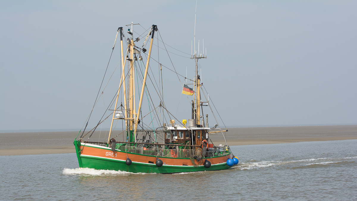 DSC 1303