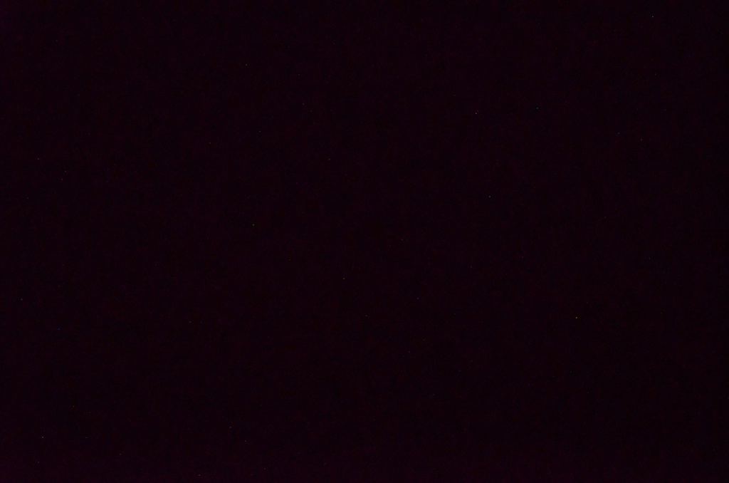 DSC 1329