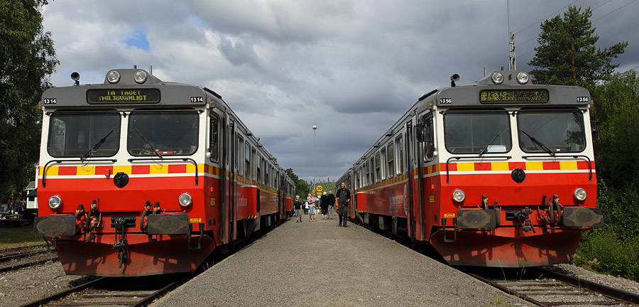 DSC 1347neu2 900