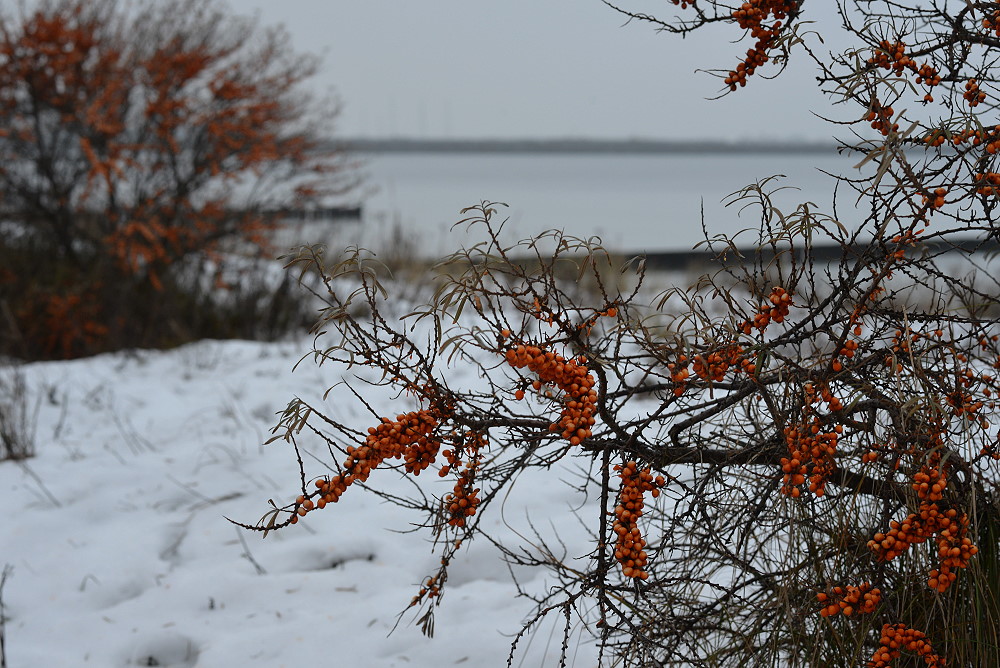 DSC 1348 16 12 12