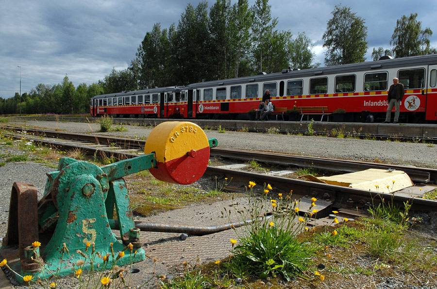 DSC 1371neu900