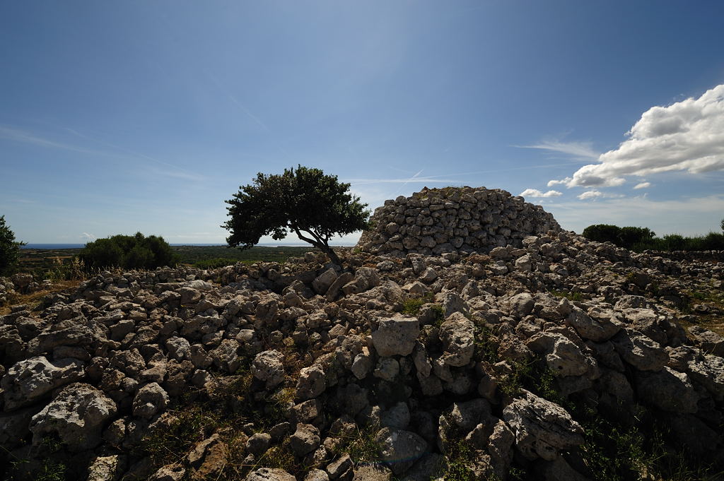 DSC 1377